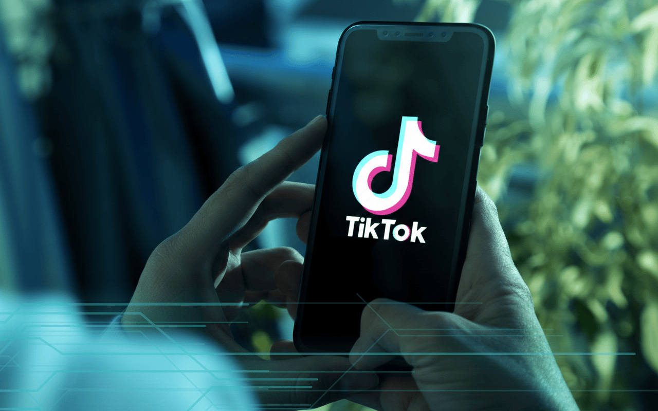 TikTok blog 2